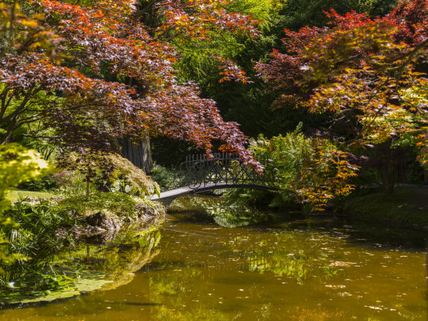 在科莫湖岸边的梅尔齐别墅公园里图片下载