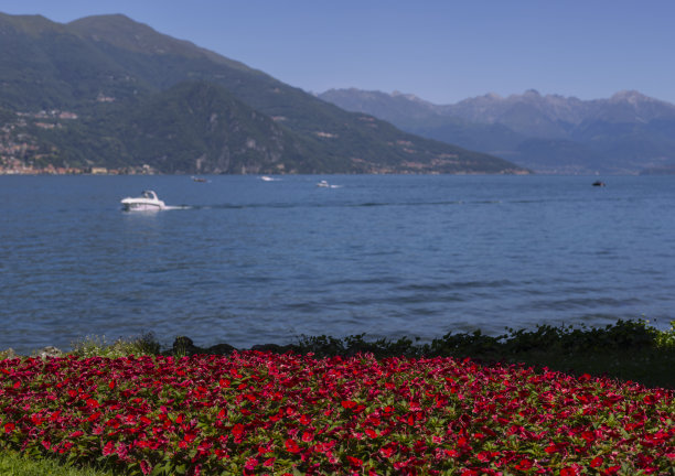 在科莫湖岸边的梅尔齐别墅公园里图片下载