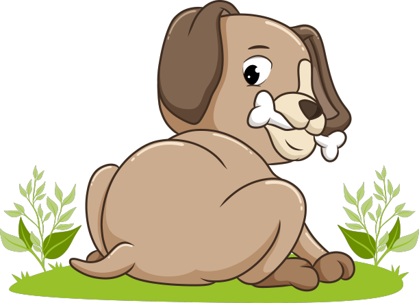 狗在咬骨头图片下载