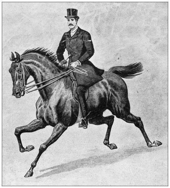 来自英国杂志的古董图片:骑马的男人图片下载