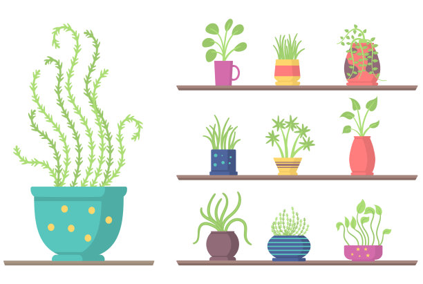 一套室内植物在货架花园花盆图片下载