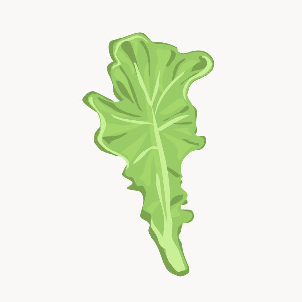 让我们烹饪健康食品，生菜图片下载