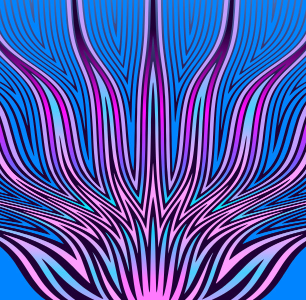 多色荷花与阳光图片下载