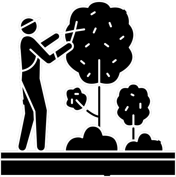 树的修剪和修剪颜色线条图标花园图片下载