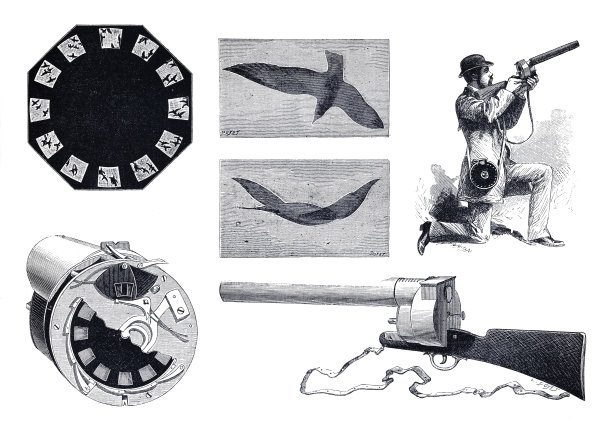 1882年Etienne-Jules Marey的Fusil摄影作品图片下载