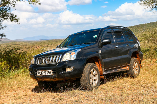 丰田陆地巡洋舰普拉多120图片下载