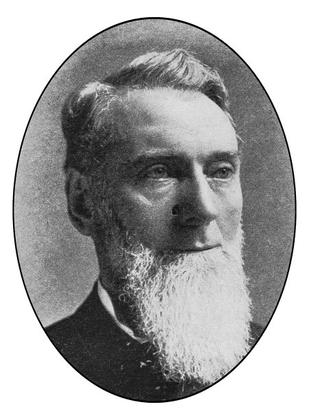 著名纽约人肖像:詹姆斯·乔治·约翰逊图片下载