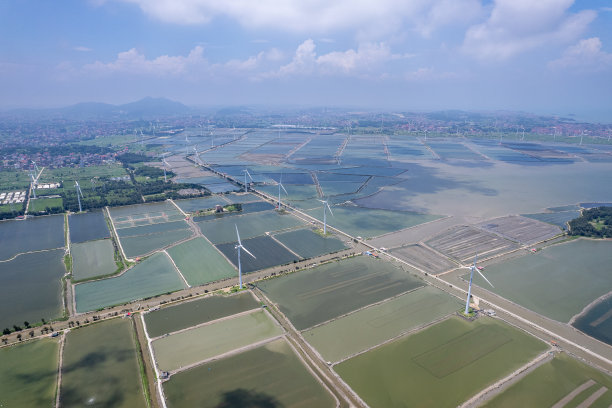 阳光普照下的滩涂海产品养殖基地图片下载