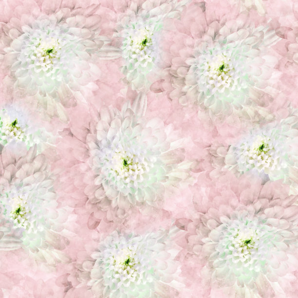 水彩菊孤立在白色背景。特写镜头。为设计。大自然。图片下载