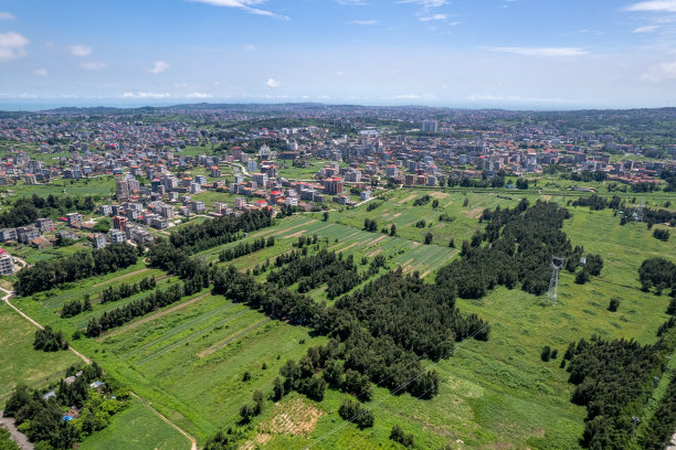 鸟瞰绿色田野和乡村房屋图片下载