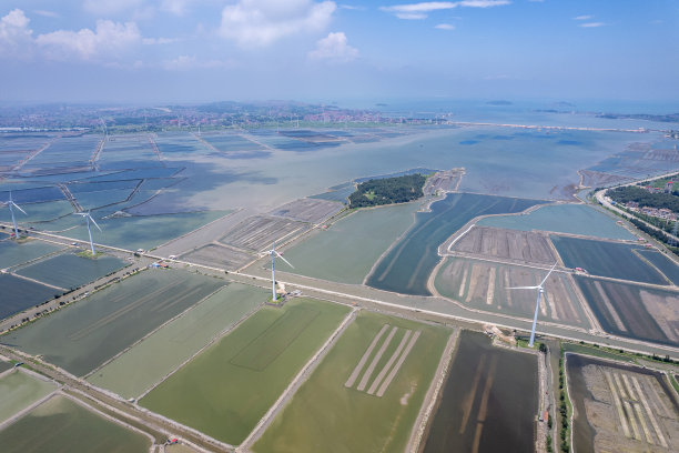 阳光普照下的滩涂海产品养殖基地图片下载