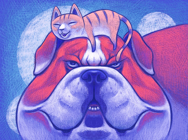 懒猫躺在牛头犬的头上图片下载