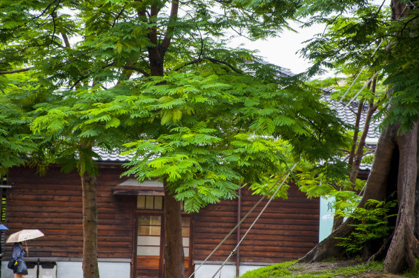 台中，文化创意，工业园区，老，台中酒庄图片下载