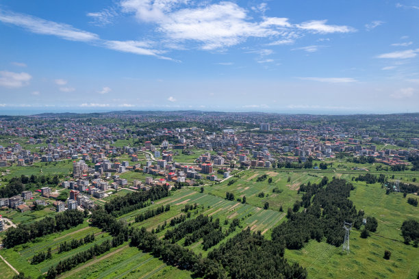鸟瞰绿色田野和乡村房屋图片下载