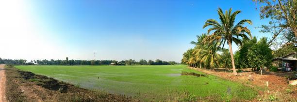 以房子为背景的一片绿草地的照片。图片下载