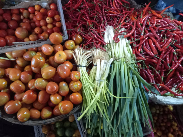 西红柿，小葱和辣椒图片下载