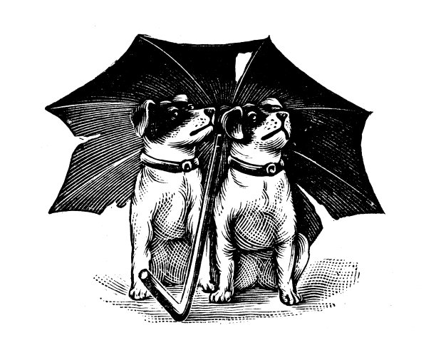 来自英国杂志的古董图片:雨伞下的两只狗图片下载
