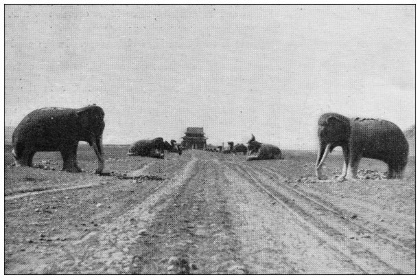 来自英国杂志《中国，明朝墓葬》的古董图片图片下载