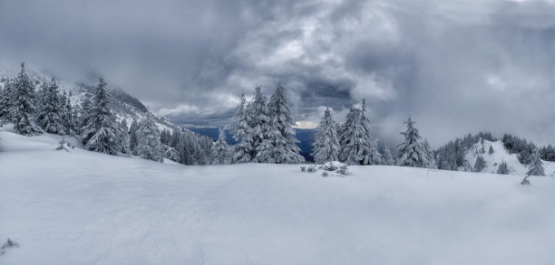 山区冬季森林的全景照片。冷杉树覆盖着白色的白霜，背景是山峰和戏剧性的天空。图片下载