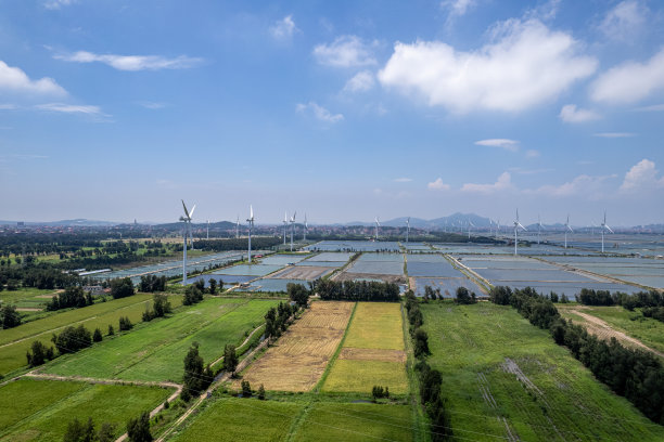鸟瞰绿色田野和乡村房屋图片下载
