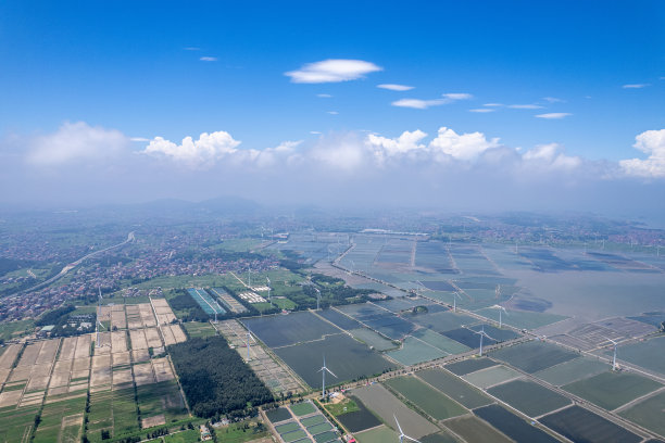 阳光普照下的滩涂海产品养殖基地图片下载