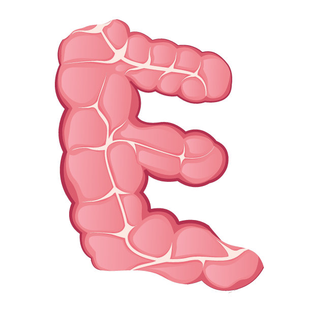 大肠。字母的信图片下载