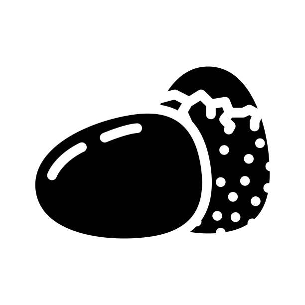 鸡蛋农场母鸡字形图标矢量插图图片下载