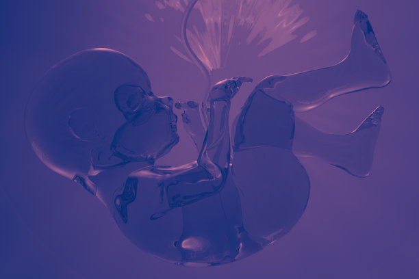 人类胚胎的风格化插图。健康、医学和生殖专题图片下载