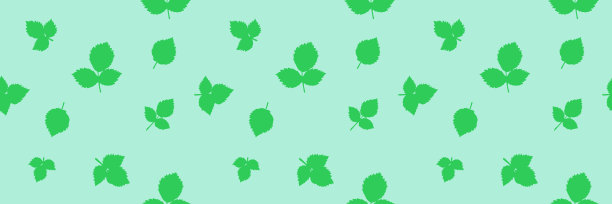 Washi胶带设计，叶子，无缝花卉图案背景，盛开，破裂，横幅，标签，标签，绿松石和绿色图片下载
