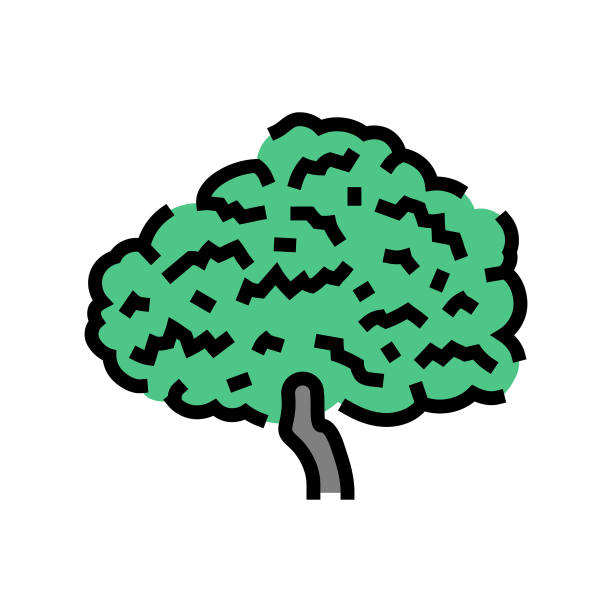 无花果树丛林亚马逊颜色图标矢量插图图片下载