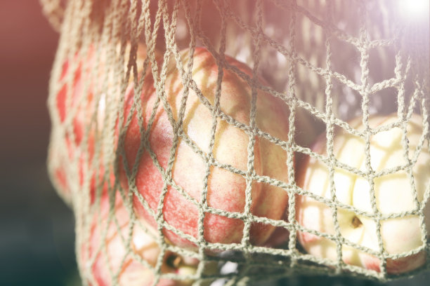 时尚的色彩组合，粉色的桃子在可重复使用，网眼袋在绿色的背景。零浪费，环保理念。购物和杂货风格图片下载