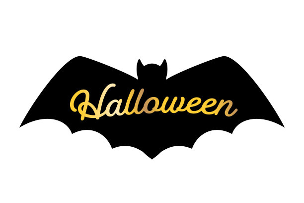 黑白相间的蝙蝠图标图片下载