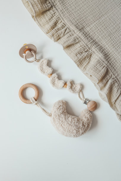 婴儿用品，新生儿时尚。奶嘴，奶嘴架，格子顶视图，平铺，留出文字空间。图片下载