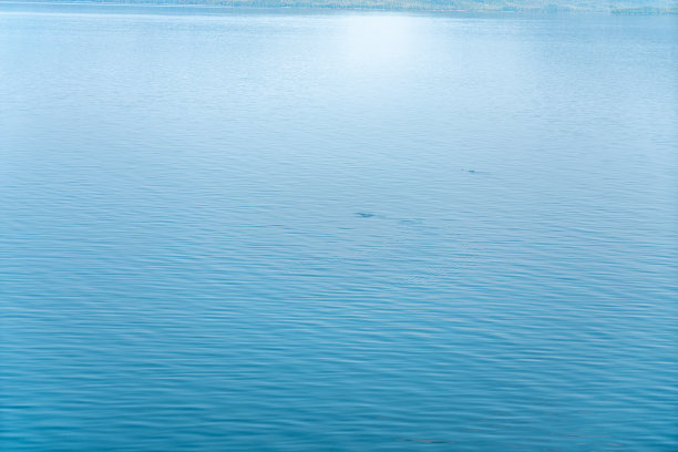 巡航视图从凯奇坎到朱诺，阿拉斯加，美国图片下载
