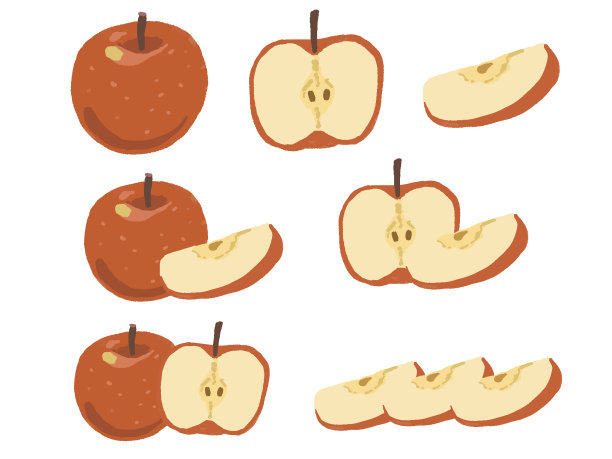 手绘插图集与苹果和横截面图片下载