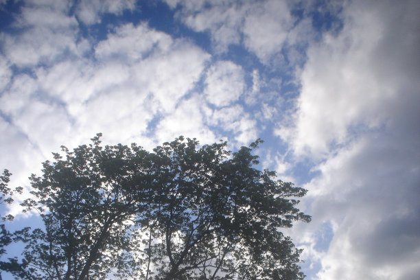 Circleincloud图片下载