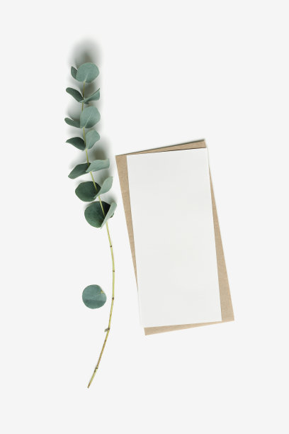 空白纸卡模拟和工艺信封与分支桉树叶在白色背景。桌子上空白的白色请柬。最小的现代生活方式照片。平铺，俯视图，复制空间。图片下载
