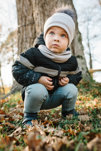 夕阳下，孩子在森林里玩橡子。孩子小男孩玩秋天金黄的秋叶。孩子坐在公园里的黄叶上。一家人在大自然中度假。照片肖像幼儿特写。图片下载