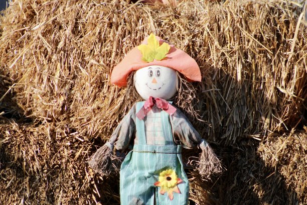 秋天的场景图片下载