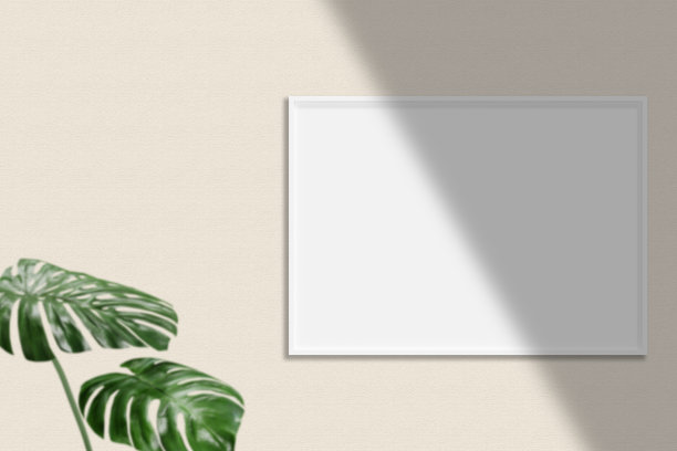 极简主义挂水平白色海报或相框模型在客厅墙壁与植物。3 d渲染。图片下载