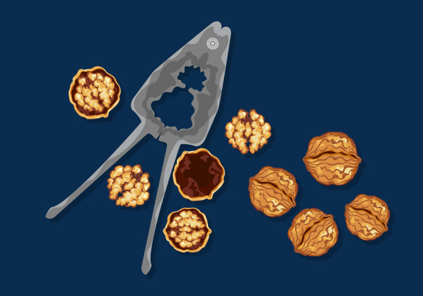 配上美味的新鲜核桃和饼干。有机食品健康食品隔离在黑暗背景顶视图概念矢量插图。简单的修复。图片下载