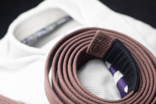 棕带武术图片下载