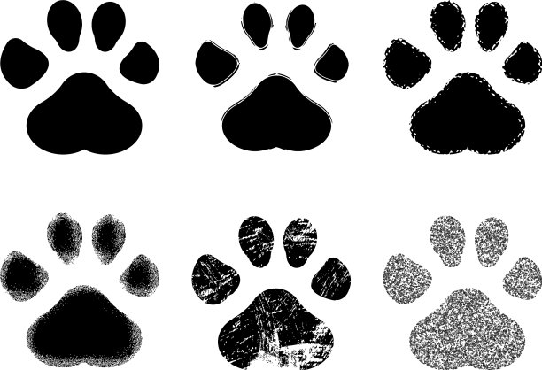 设置爪子印图片下载