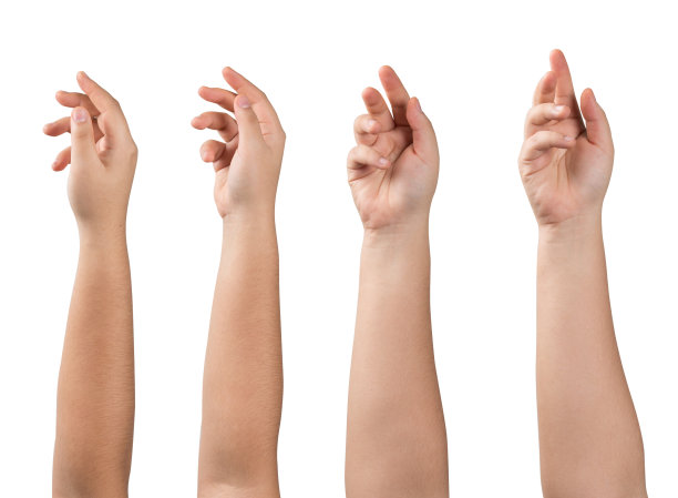 一套丰满的手和胳膊图片下载