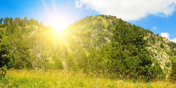风景如画的山坡上有森林和日出。宽的照片。图片下载