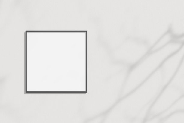 空框上的白色墙壁上有树枝的影子图片下载