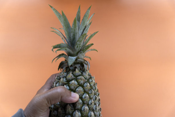 成熟的绿色菠萝在橙色的背景。图片下载