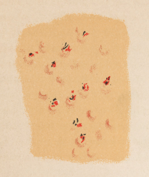 人体皮肤与结节性痒疹的医学插图- 19世纪图片下载