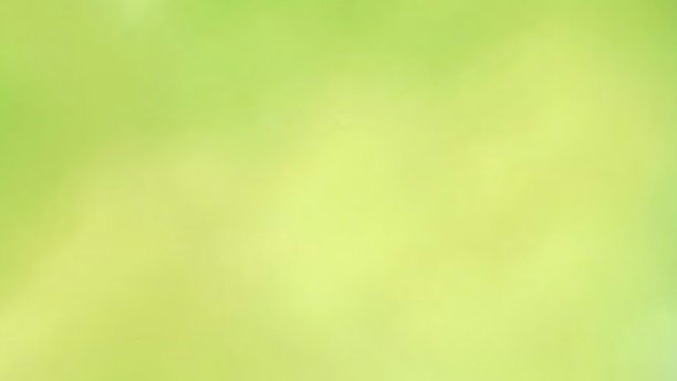 模糊的绿色和黄色背景从叶子。图片下载