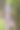 纽约汤普金斯县伊萨卡附近的罗伯特·h·Treman州立公园的夏日傍晚照片。图片下载